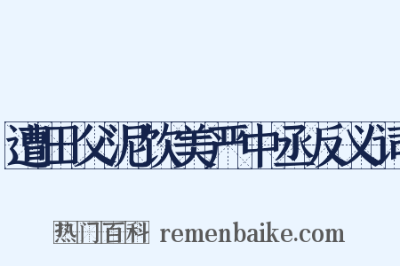 遭田父泥饮美严中丞反义词是什么意思的图片
